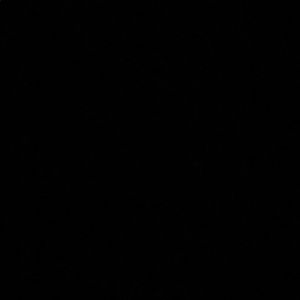 Meet your Posher, Tasha